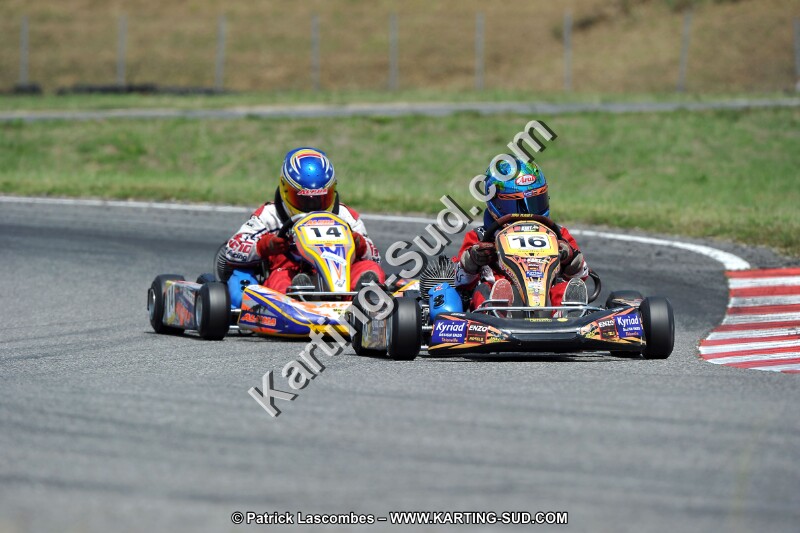 DSC_ (438).jpg